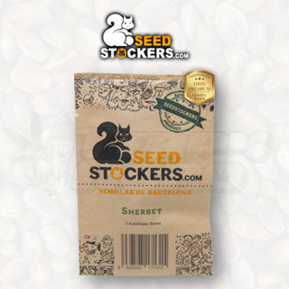 Sherbet (Auto) - Seed Stockers เมล็ด กัญชา นำเข้าแท้100% เมล็ดเพศเมีย