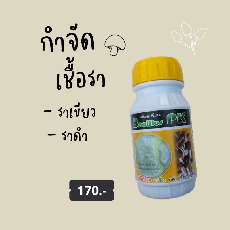 Bacil pk ยับยั้งราเขียว