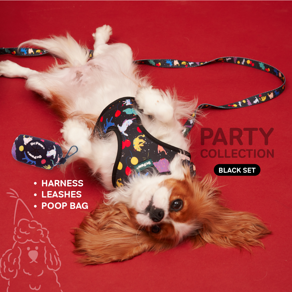 เซ็ทสายรัดอก พร้อมสายจูง สำหรับสุนัขและแมวสีดำ DR.PAW DOG HARNESS WITH LEASH BLACK SET