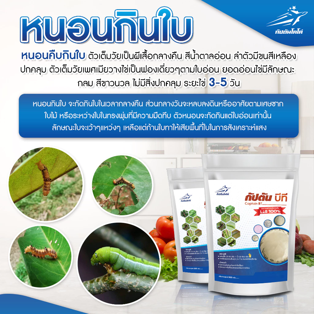 กัปตันบีที Bt สูตรเข้มข้น Bacillus Thuringiensis กำจัดแมลง thumbnail 7