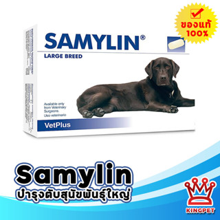 หมดอายุ 3/25 Samylin large breed 30 เม็ด อาหารเสริมบำรุงตับสุนัขพันธุ์ใหญ่