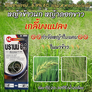 ยาฆ่าหญ้าในนาข้าว สารกำจัดวัชพืชในนาข้าว ( บรานน์ 6.9 ) ฟีโนซาพรอป-พี-เอทิล ยาฆ่าหญ้าดอกขาว หญ้าข้าวนก หญ้าแดง ตราNC