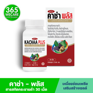 KACHAA-PLUS 30 Tablets. คาซ่า พลัส สารสกัดกระชายดำ 365wecare