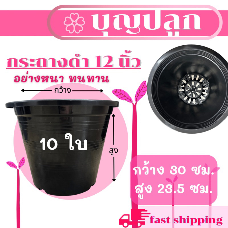 (10 ใบ) กระถางพลาสติก สีดำ 12 นิ้ว ปลูกบอน ปลูกผักสลัด