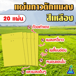 แผ่นกาวดักแมลง (สีเหลือง) ขนาด 20 x 25 เซนติเมตร จำนวน 2จ แผ่น Yellow Yellow Sticky Trap 20 x 25 cms 25 pcs