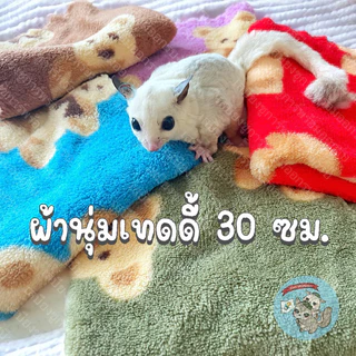 V ( ผ้าเทดดี้ 30 ซม. ) ผ้า ผ้านุ่ม ผ้านุ่มนิ่ม ผ้าขนปุย ผ้าปุย ผ้าขน สัตว์เลี้ยง สัตว์เล็ก ชูก้า ชูการ์ บุชเบบี้ ลิง