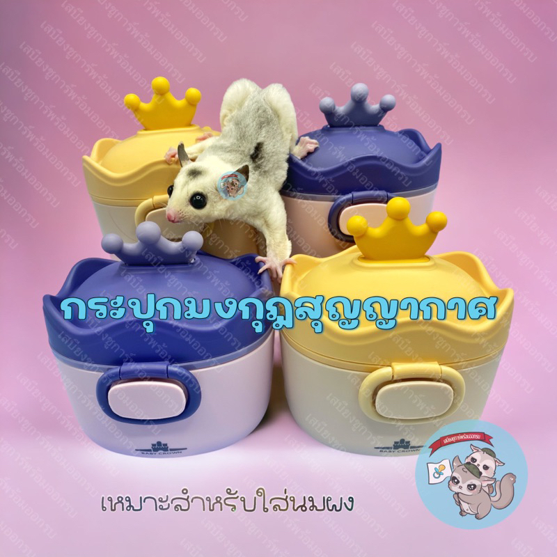 V ( กระปุกมงกุฎ ) กระปุกนมผง กระปุกนมผงสุญญากาศ