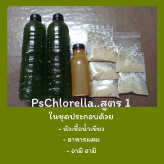 PsChlorella..สูตร1::ชุดทำน้ำเขียวเพาะไรแดงกึ่งสำเร็จรูป//กะละมัง20ลิตร