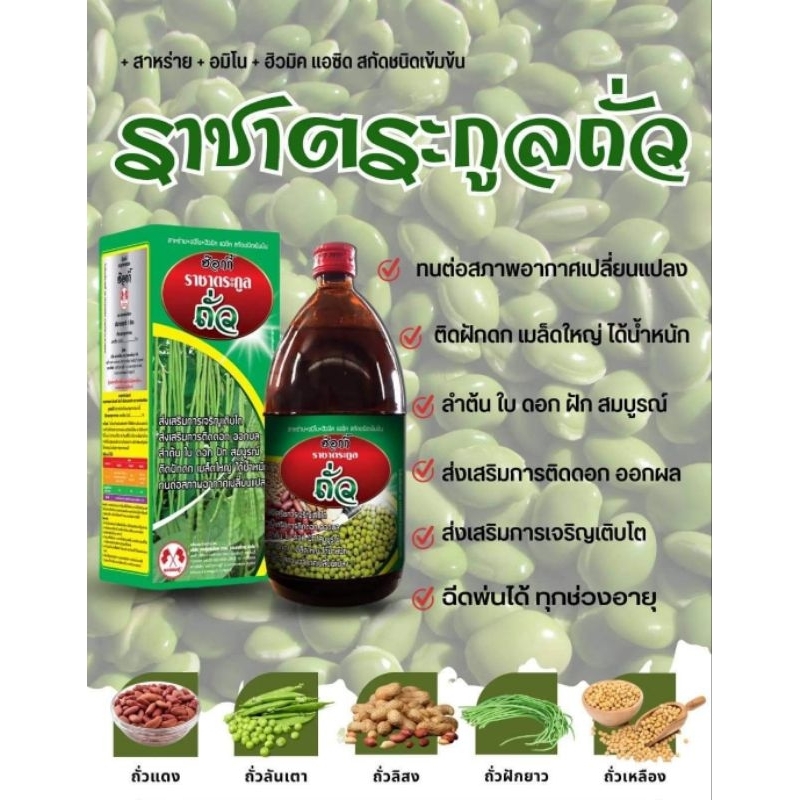 อาหารเสริมบำรุงถั่ว (ราชาตระกูลถั่ว)ช่วยเจริญเติบโต ต้านทานโรค ติดผลดก เก็บได้นาน น้ำหนักดี