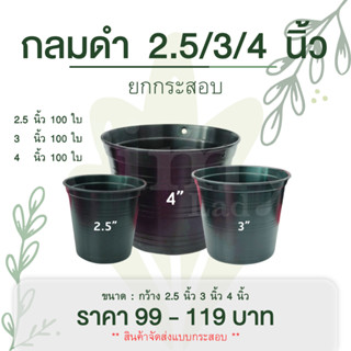 กระถางพลาสติก กระถางดำ กระถางต้นไม้ ขนาด 2.5 นิ้ว / 3 นิ้ว / 4 นิ้ว (ราคาเบาๆ) ยกกระสอบ
