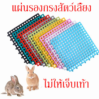 แผ่นรองกรงกระต่าย แผ่นรองกรงสัตว์เลี้ยง ไม่ให้เจ็บเท้า กันลื่น และกันตกร่องกรงลูกสุนัข แมว กระต่าย ชูการ์ไรเดอร์