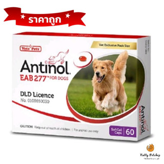 แพ็คใหม่ Antinol DOG ช่วยบำรุงข้อ กระดูก ขน ผิวหนัง และไต( (หมดอายุ 09/2024) 1 กล่อง 60 แคปซูล