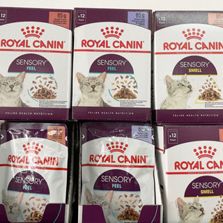 อาหารเปียก royal canin sensory ช่วยเพิ่มความอยากอาหารแมว