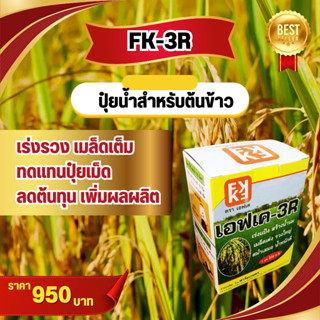 ปุ๋ย FK-3R สำหรับเพิ่มผลผลิต นาข้าว ต้นข้าว แตกกอดี รวงใหญ่ เมล็ดเต็ม เร่งสร้างน้ำนม น้ำหนักดี ผลผลิตดี(ฉีดรับรวง)โดย FK