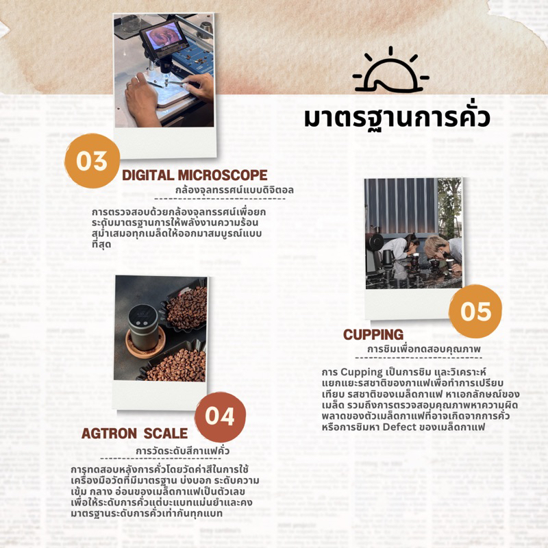 รูปภาพ 7