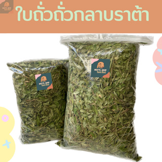 ใบถั่วกลาบราต้า หญ้าถั่วกลาบราต้า 200/500g อบแห้งพรีเมี่ยม เหมาะสำหรับสัตว์ฟันแทะ กระต่าย แพรี่ด็อก แกสบี้