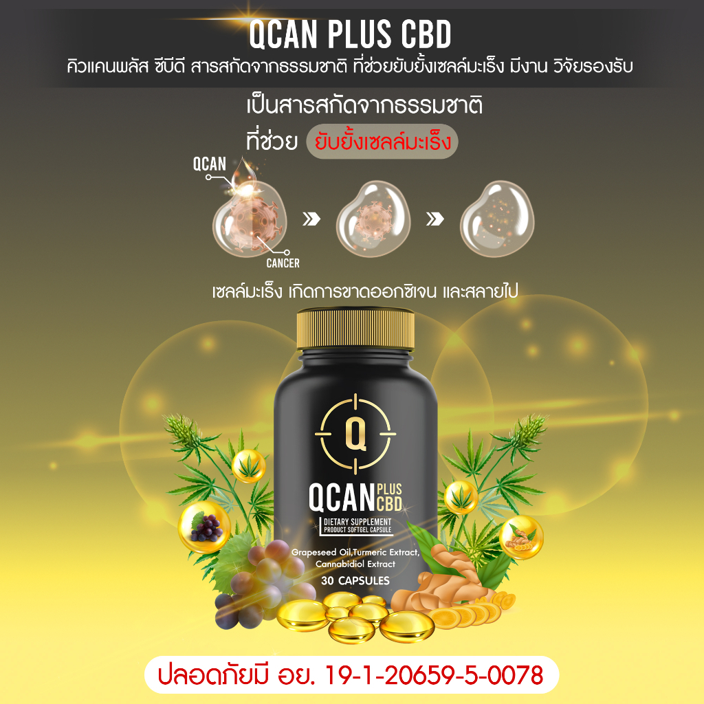 Qcan Plus CBD  คิวแคน พลัส ซีบีดี ผลิตภัณฑ์เสริมอาหารชนิดแคปซูลนิ่ม ต้านอนุมูลอิสระ ลดระดับคอเลสเตอรอลในเลือด ส่งฟรี