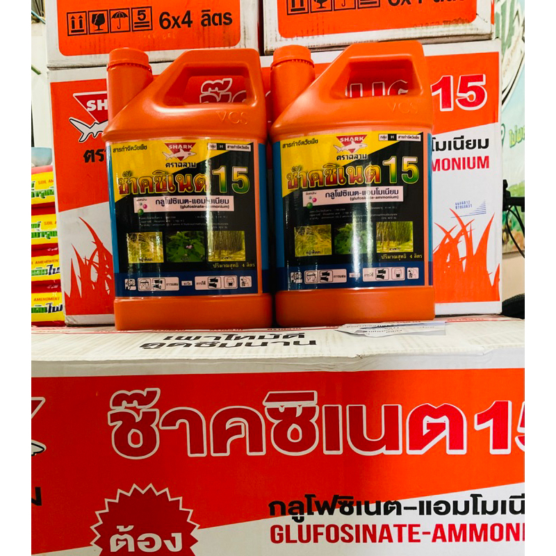 ยกลัง 6 แกลลอน ช๊าคซิเนต (ส้ม) 4 ลิตร กำจัดวัชพืชใบแคบและใบกว้าง