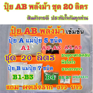 ปุ๋ย AB ชุด 20ลิตร เข้มข้นพลังม้า ผักไฮโดรโปนิกส์ทั้งน้ำวนน้ำนิ่งและพ่นทางใบพืชทุกชนิด แถมผงเร่งรากขาวยาว ปุ๋ยแห้งผสมเอง