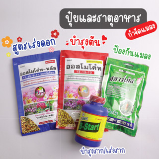 100 กรัม ปุ๋ยออสโมโค้ท ออสโมโค้ทพลัส สูตรบำรุงต้น สูตรเร่งดอก สตาเกิ้ลจี น้ำยาเร่งราก B-1 ปุ๋ยแคคตัส พร้อมจัดส่ง