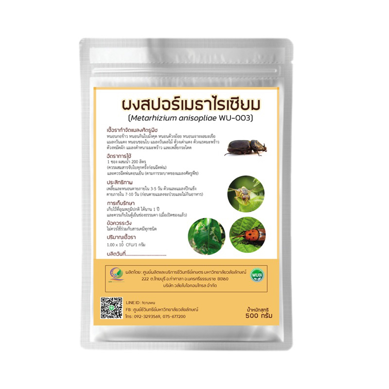 เมธาไรเซียมชนิดผงพร้อมใช้