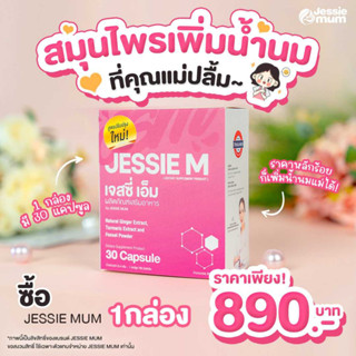 Jessie Mum 1 กล่อง 30 แคปซูล (= 6ซองทดลอง) ผลิตภัณฑ์บำรุงน้ำนม สำหรับคุณแม่หลังคลอด มีฮาลาล มีอย. ปลอดภัย ของแท้ ไออุ่น