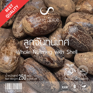 OneSpice ลูกจันทน์เทศ 250 กรัม | สมุนไพร ลูกจัน ลูกจันเทศ ลูกจันทร์เทศ แห้ง | Dried Whole Nutmeg with Shell | LJT