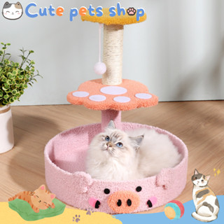 คอนโดแมว กรอบปีนแมว ของเล่นแมว ที่นอนแมว คอนโดแมวราคาถูก ลับเล็บแมว cat tree condo house เสาลับเล็บแมว คอนโดแมวลดราคา