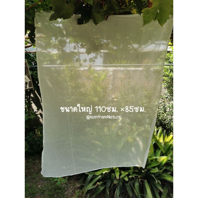 Nature : ผ้าขาวบาง ผ้าฝ้าย 100% เนื้อนุ่ม