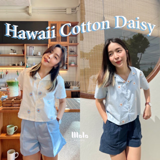 🌼 Hawaii Cotton Daisy 🌼