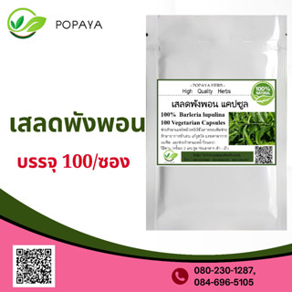 (P71) สมุนไพร Porcupine flower, Hophead Philippine violet 100 Cap.