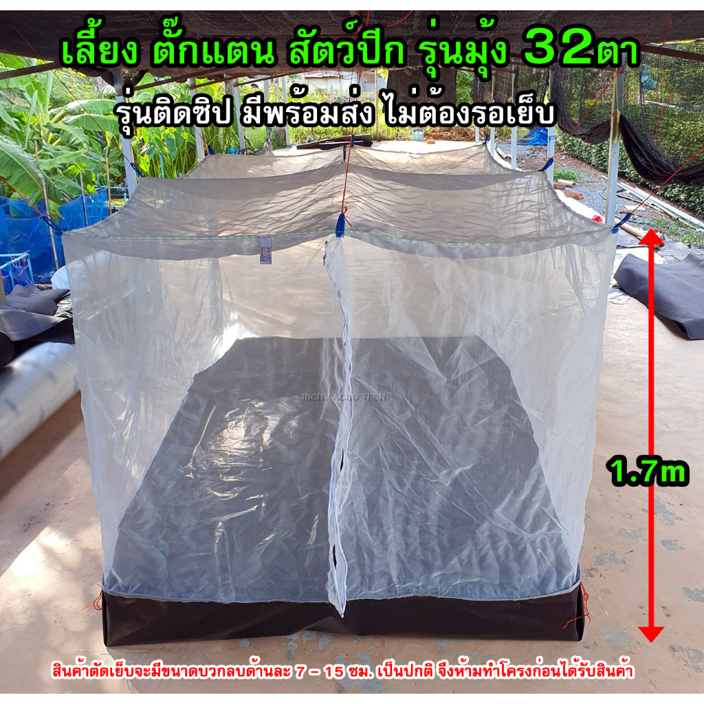 กระชังบก เลี้ยงตั๊กแตน ปาทังก้าโมจีน รุ่นมุ้งขาว 32ตา ติดซิปและมีฝาปิด สูง 1.7 ม. เข้าออกง่าย