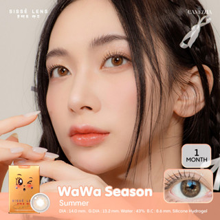 (*โค้ดส่วนลด12% ใส่โค้ด B2LOSEP) Sissè lens รุ่น WaWa Season (Summer) 🍊🌼 คอนแทคเลนส์เกาหลีรายเดือน