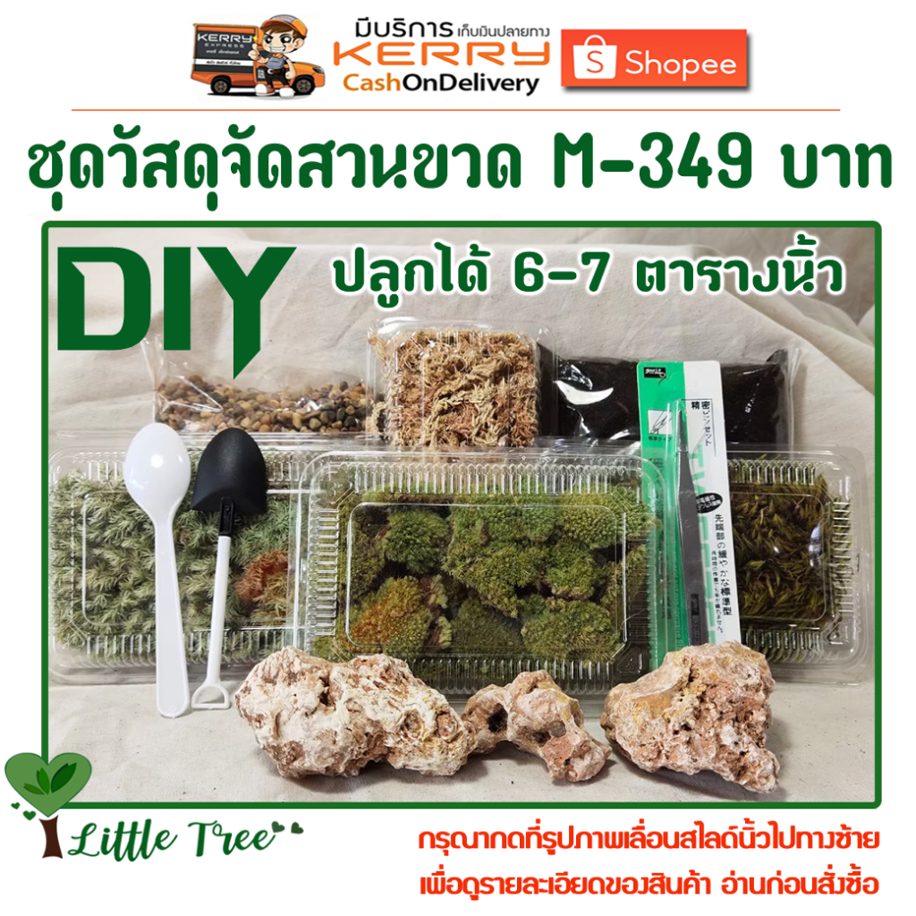 ชุดวัสดุจัดสวนขวด Terrarium ขนาดกลาง-ใหญ่ ไซต์ M-349 บาท จัดได้ 7 ตารางนิ้ว - รูปที่ 5