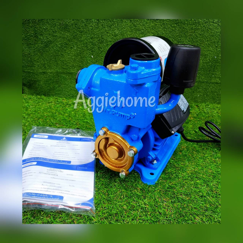 MR.PUMP ปั๊มน้ำอัตโนมัติ รุ่น EQS370A 220V. ปั๊มน้ำ 370 วัตต์ ท่ออก 1X1 นิ้ว ใบพัดทองเหลือง ปั๊มน้ำ