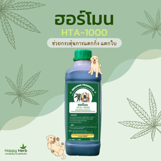 🌿 HTA-1000 ฮอร์โมนปุ๋ยสำหรับต้นกัญชา กระตุ้นการแตกกิ่ง แตกใบ