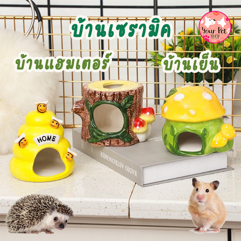 Restock บ้านเซรามิค แฮมเตอร์ เย็นรังผึ้ง บ้านเซรามิก Small Pet บ้านเห็ด ชูก้า เม่นแคระ กระรอก ชูก้าไกรเดอร์