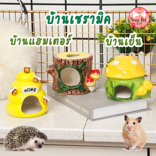 บ้านเซรามิค แฮมเตอร์ เย็นรังผึ้ง บ้านเซรามิก Small Pet บ้านเห็ด ชูก้า เม่นแคระ กระรอก ชูก้าไกรเดอร์