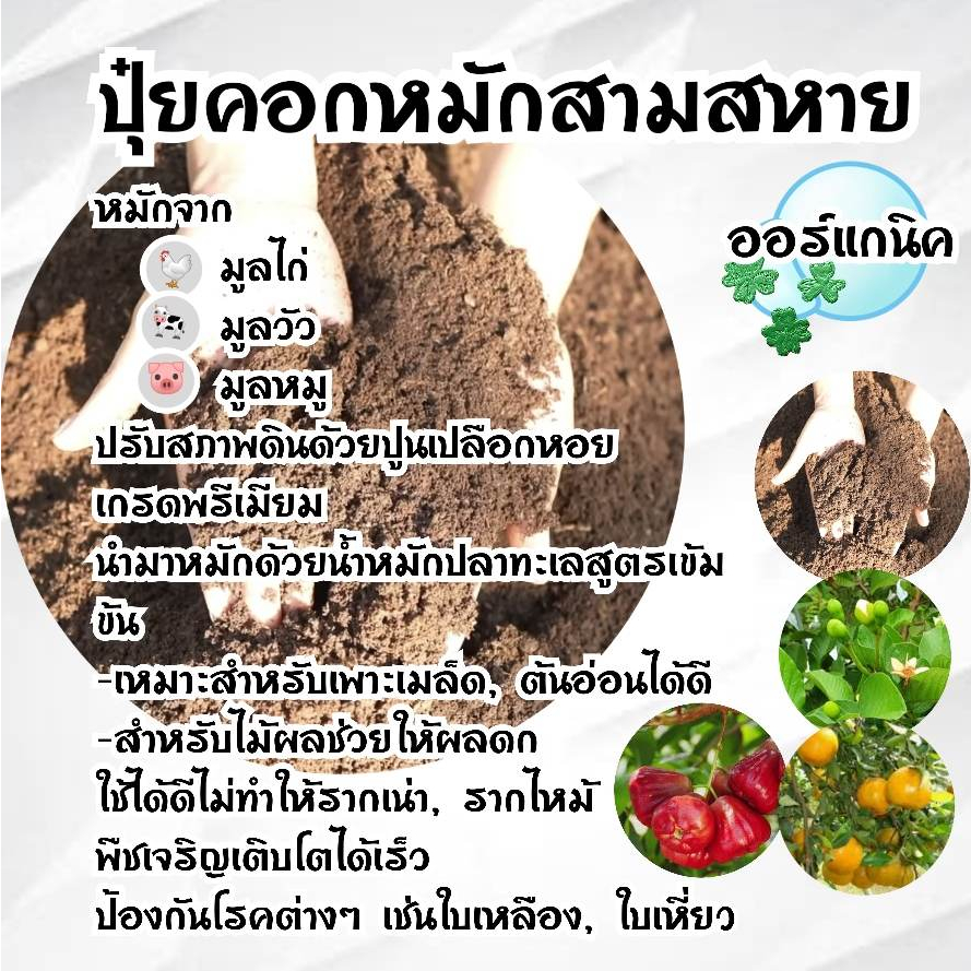ปุ๋ยหมักสามสหาย ปุ๋ยอินทรีย์ วัสดุเพาะปลูก ต้นไม้ ราคา ถูกที่สุด ดีลบีเคเค แกลเลอรีภาพที่ 3