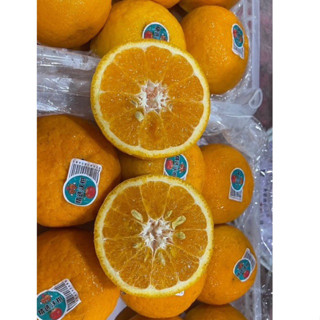 ‼️ส่งฟรีแช่เย็น ‼️ ส้มไต้หวันตะกร้า 🍊🍃ยกตะกร้า 5-5.5 กิโลรวมตะกร้า