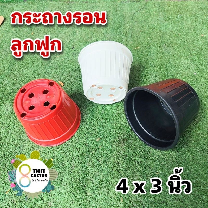 กระถาง รอน 4 นิ้ว // กด 50 ใบ 240 บาท --- รอน ลูกฟูก -- กระถางแคคตัส กระบองเพชร กระถางพลาสติก