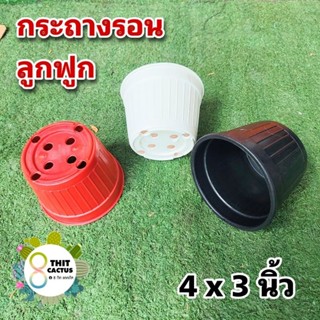 กระถาง รอน 4 นิ้ว // กด 50 ใบ 240 บาท --- รอน ลูกฟูก -- กระถางแคคตัส กระบองเพชร กระถางพลาสติก