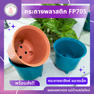 กระถาง FP705 ยกโหล 12ชิ้น กระถางขาสิงค์เล็ก สีสันสดใส#กระถางต้นไม้#กระถางขาสิงค์#กระถาง น้อยน่ารัก