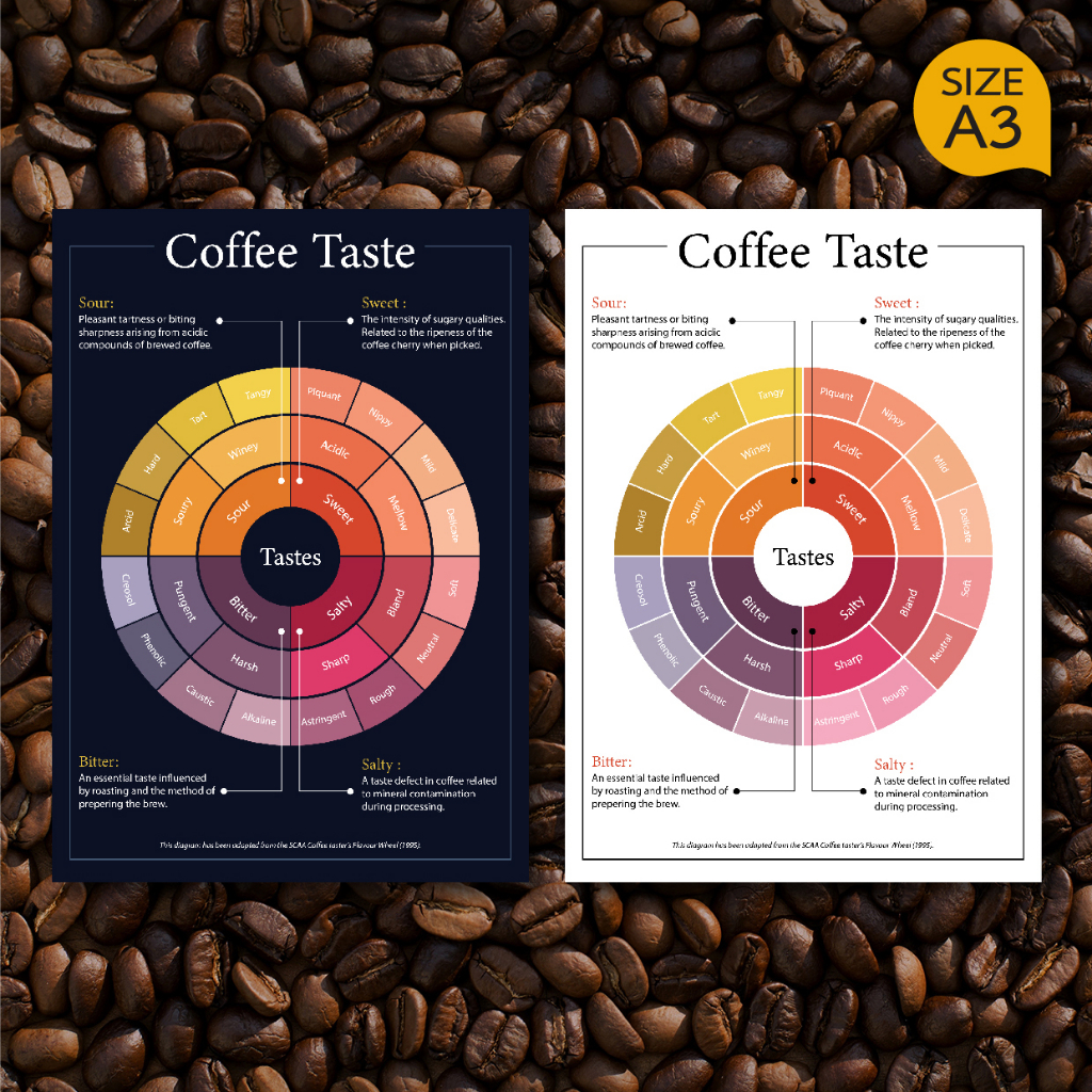 โปสเตอร์ กาแฟ Coffee Taster's Wheel วงล้อรสชาติกาแฟ สำหรับตกแต่งร้านกาแฟ ภาพคมชัด ส่งไว ขนาด A3