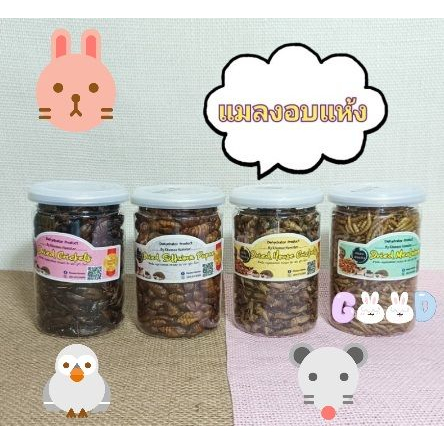 คุณหนู Khunnoo 70 กรัม จิ้งหรีด สะดิ้ง หนอนไหม หนอนนก ส่งไวส่งเร็ว