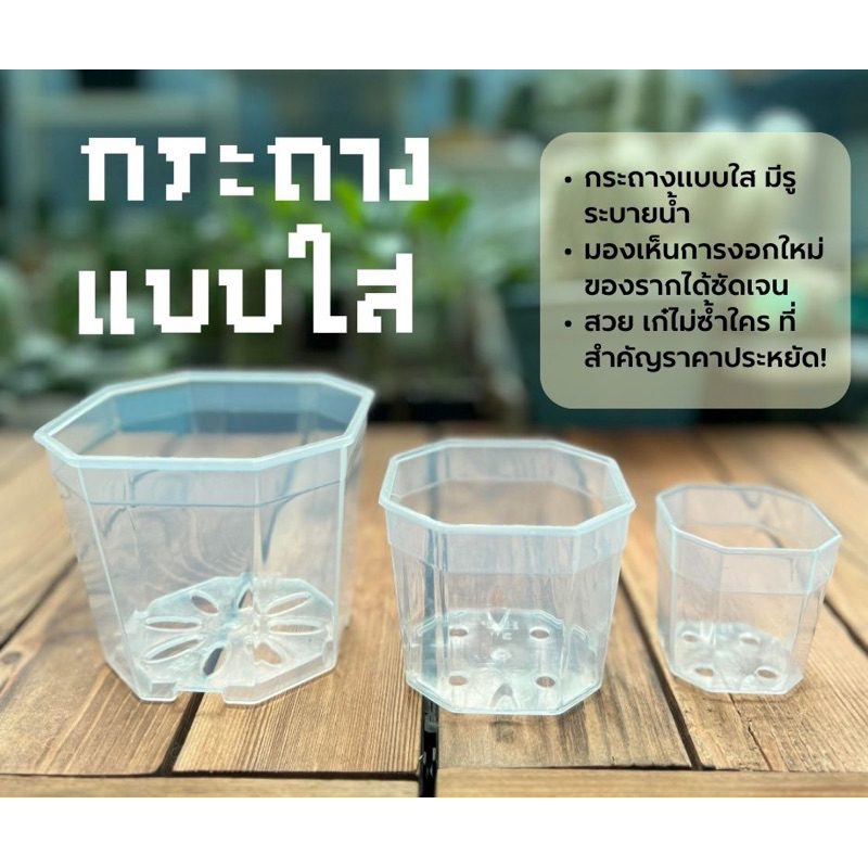 กระถางใส พลาสติกเนื้อหนาเกรดพรีเมี่ยม HP มินิมอล