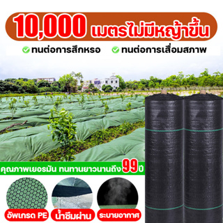 10,000 เมตรไม่มีหญ้าขึ้น OUMANDI พลาสติกคลุมดิน พลาสติกคลุมวัชพืช 1m*20m หนาขึ้น กันแดดและทนทาน 99ปี ผ้าคลุมวัชพืช