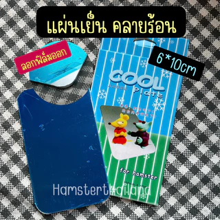 [Hamsterth] แผ่นเย็นคลายร้อน แผ่นเย็น คลายร้อน ที่นอนแฮมสเตอร์ บ้านหนูแฮมสเตอร์
