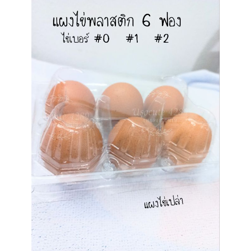 แผงไข่พลาสติก 6 ฟอง อย่างหนา พร้อมฝาล็อค (ราคา ต่อ1กล่อง)
