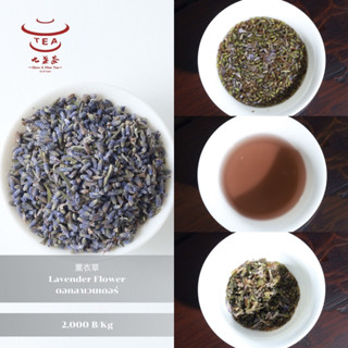 ส่งฟรี ชาดอกไม้ ชาเพื่อสุขภาพ ดอกลาเวนเดอร์ Lavender Flower 薰衣草